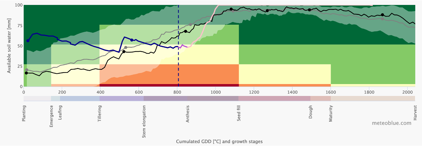 Crop Risk Analysis: Cumulated GDD [˚C] and growth stages.